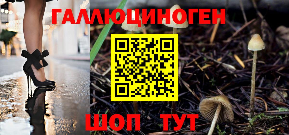 Махачкала  Галлюциногенные грибы Cubensis  Галлюциногенные грибы GOLDEN TEACHER  Вход с VPN 